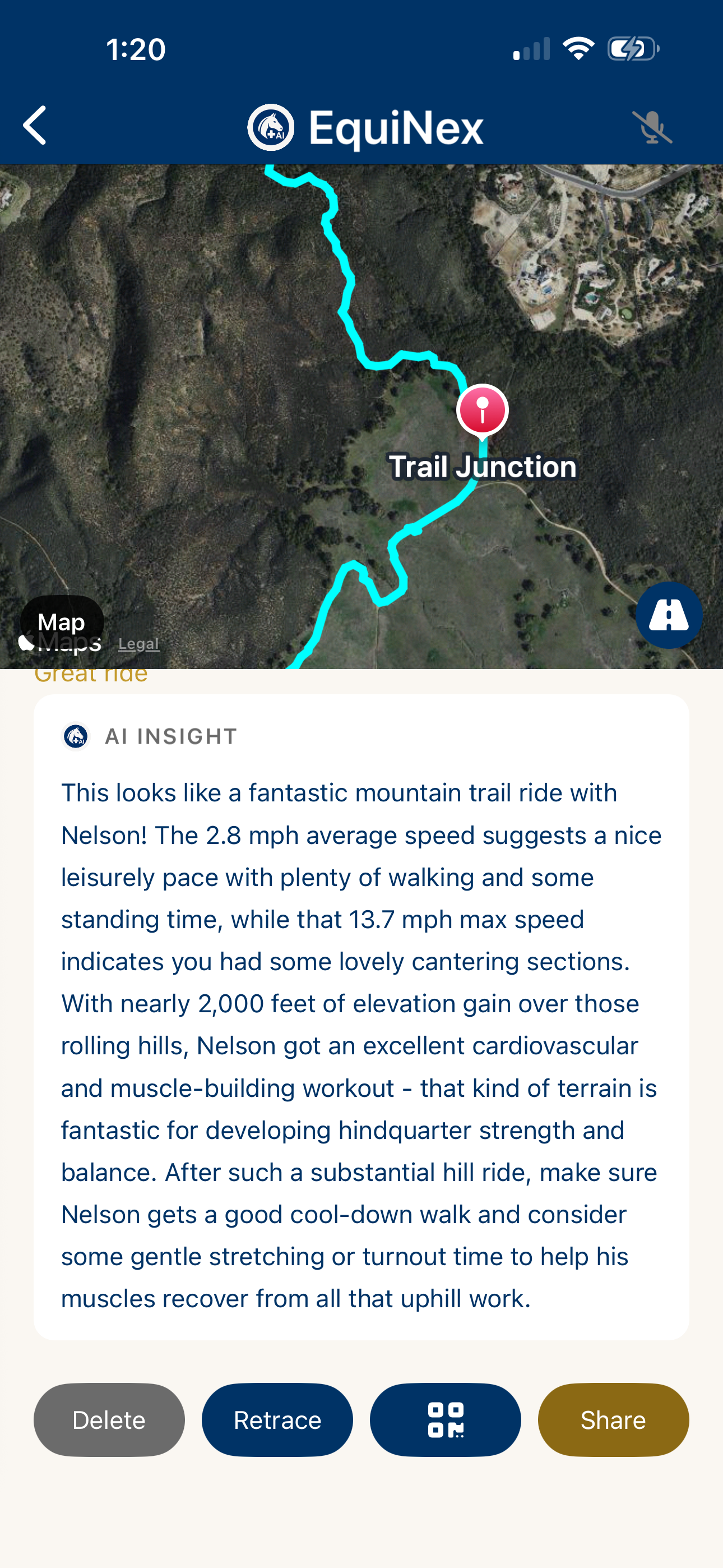 AI Insight after trail ride — EquiNex analyzing Nelson's conditioning
